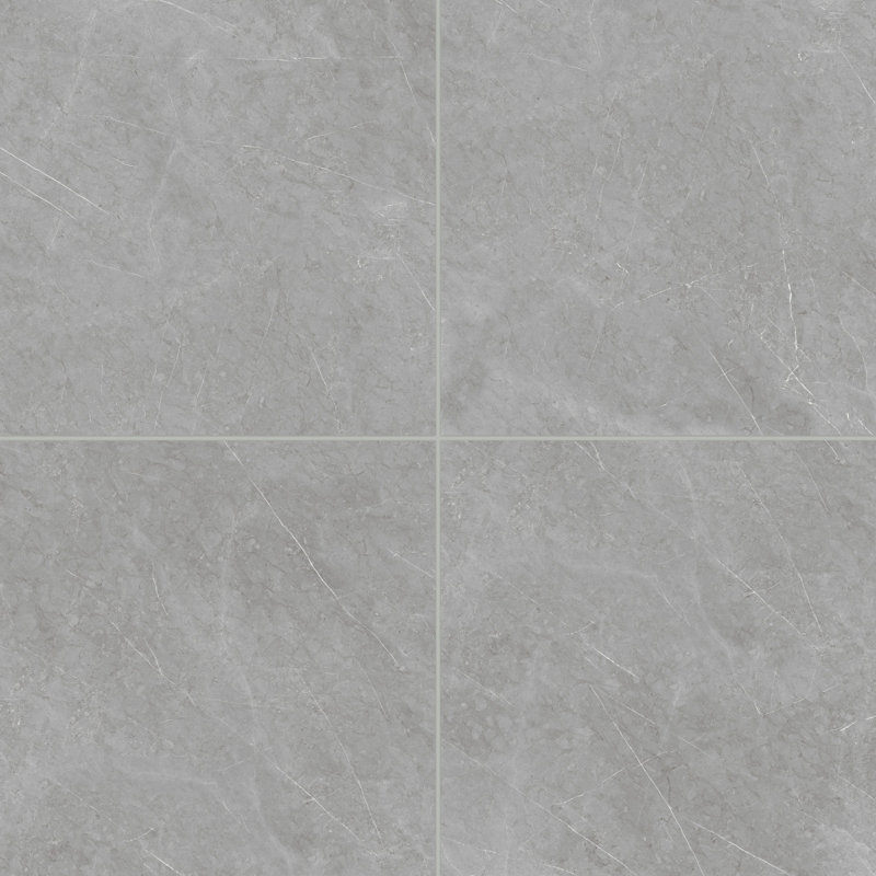 Shandar 24 in. x 24 in. Matte Porcelain Tile