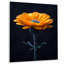 Jaune, noir, souci élégant, photo de simplicité - impression d'art mural souci-871097303-871097326