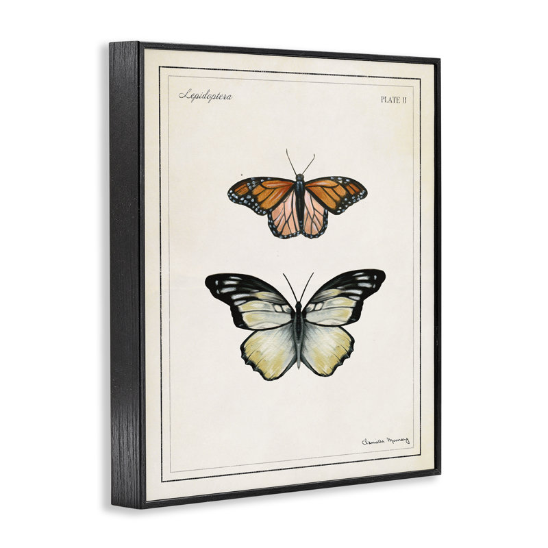 «Manor House Butterflies», estampe numérique, conception de Danielle Murray, Giclée encadrée noir minuit, H 30 po x l 24 po