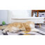 Killingworth Fleece Pet Bed-1481437037