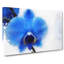 Blue Orchid In Abstract - Wrapped Canvas-55361970