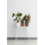 B.For Pot Planter-37904857-70004575
