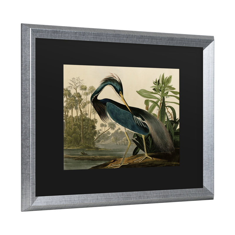 «Johniana Audubon» par John James Audubon, H 11 po x l 14 po x P 0,5 po, Cadre argenté