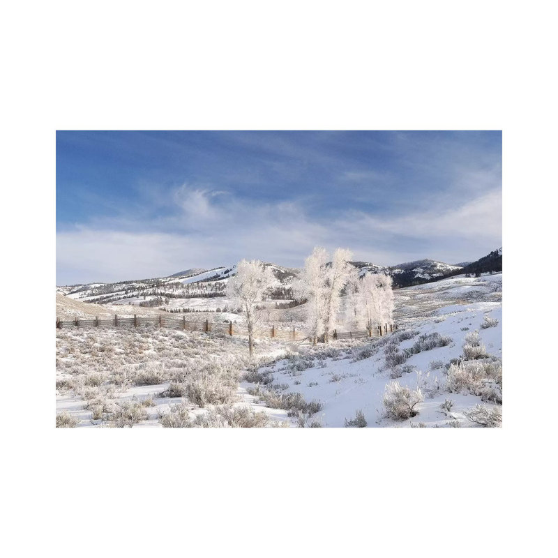 Winter In Lamar Valley by Brian Wolf - Wrapped Canvas Print