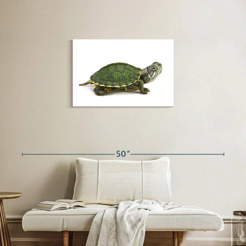 Red Eared Turtle, 20" H x 30" W