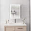 Armoire à pharmacie de salle de bain avec lumières, armoire à pharmacie à DEL avec miroir, petite armoire, armoire d'appoint