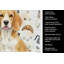 Torchon citron et blanc Beagle-1234934711