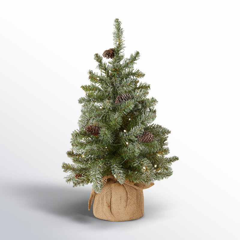 The Holiday Aisle® Snowy Concolor Fir Tree with LED Lights, 2'