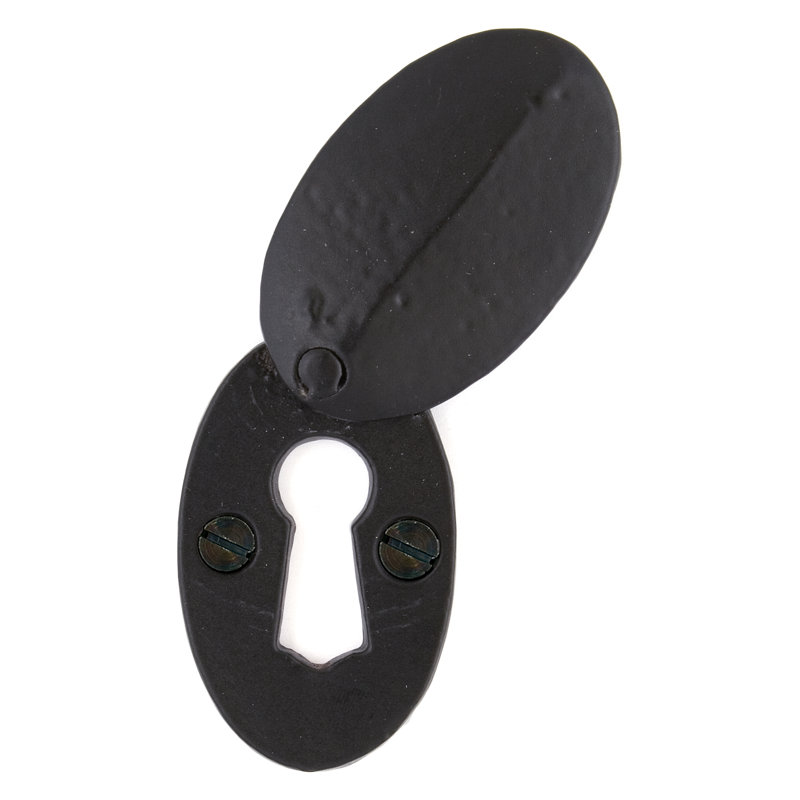 Escutcheon & Cover Door Accessory, Black