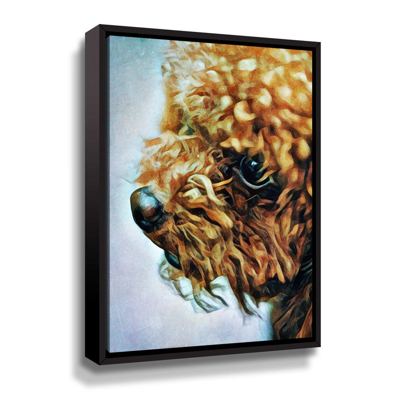 «Apricot Toy Poodle Puff» par Aldridge, impression sur toile, Toile encadrée noire, H 48 po x l 36 po x P 2 po