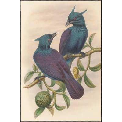 Double Dove Animal Pattern Decorative Washable Area Rug
