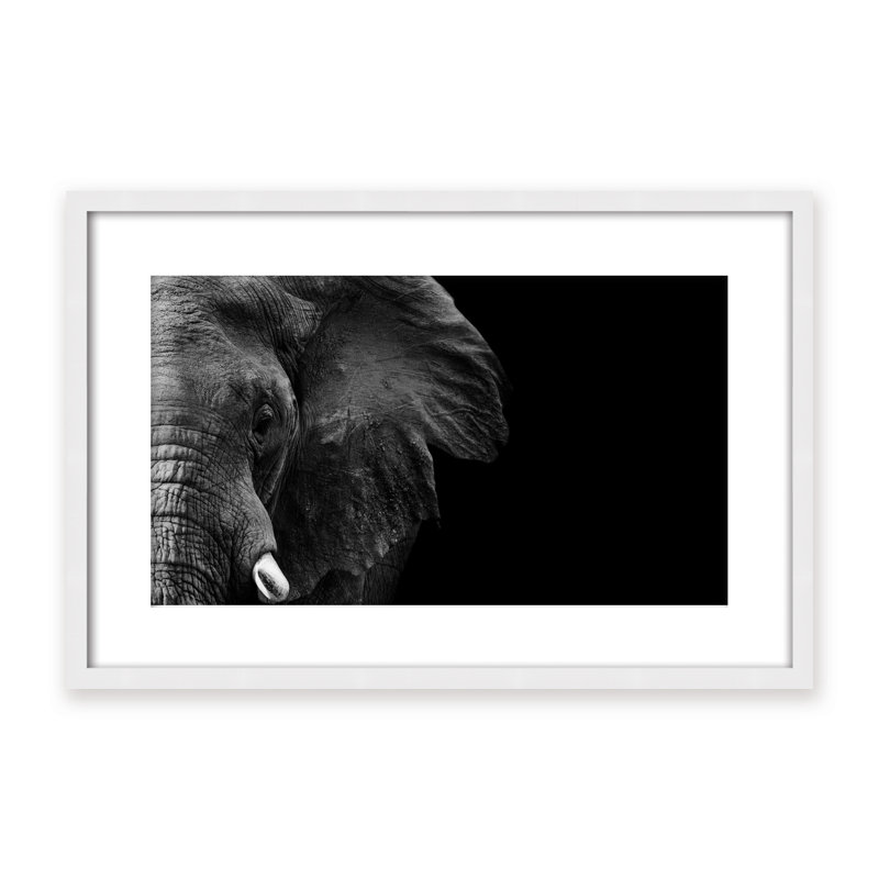 Nature Inspired Elephant by  - Picture Frame Photograph on Paper, Framed Canvas, 32" H x 48" W x 2.375" D, Gold
