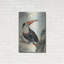 Toucan à bec rouge, v. «1748» par Aert Schouman, art mural en métal-1885729146