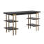 Levigne Desk