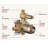 12 Inch Rainfall Shower System with Brass Valve - 2 Function (Top/Hand) & 3 Modes Handheld Shower (High Pressure)-126532335