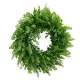 Jayms Faux Plastic 20'' Wreath
