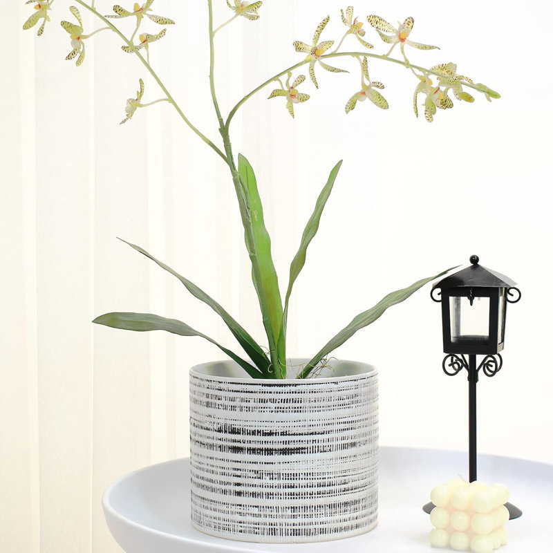 Ensemble de 2 pots de plantes d'intérieur en céramique