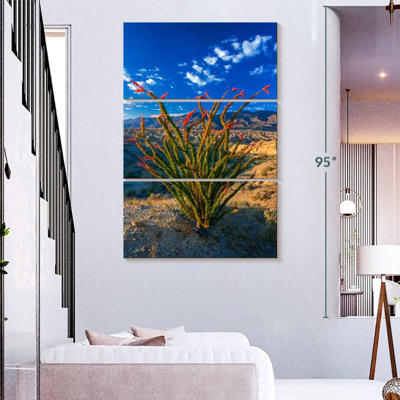 Aaric Ocotillo In Anza Borrego, 57" H x 36" W