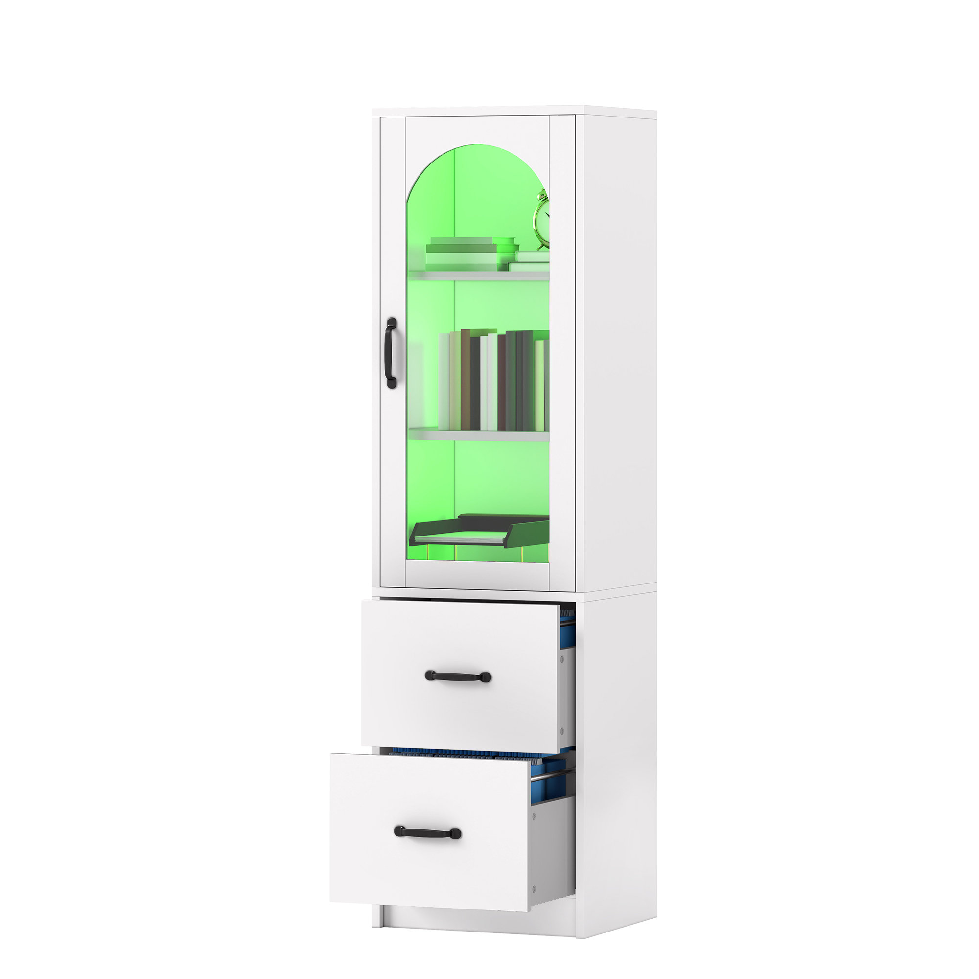 Ebern Designs Elegant Glass Door File Cabinet with LED Light and Two ...