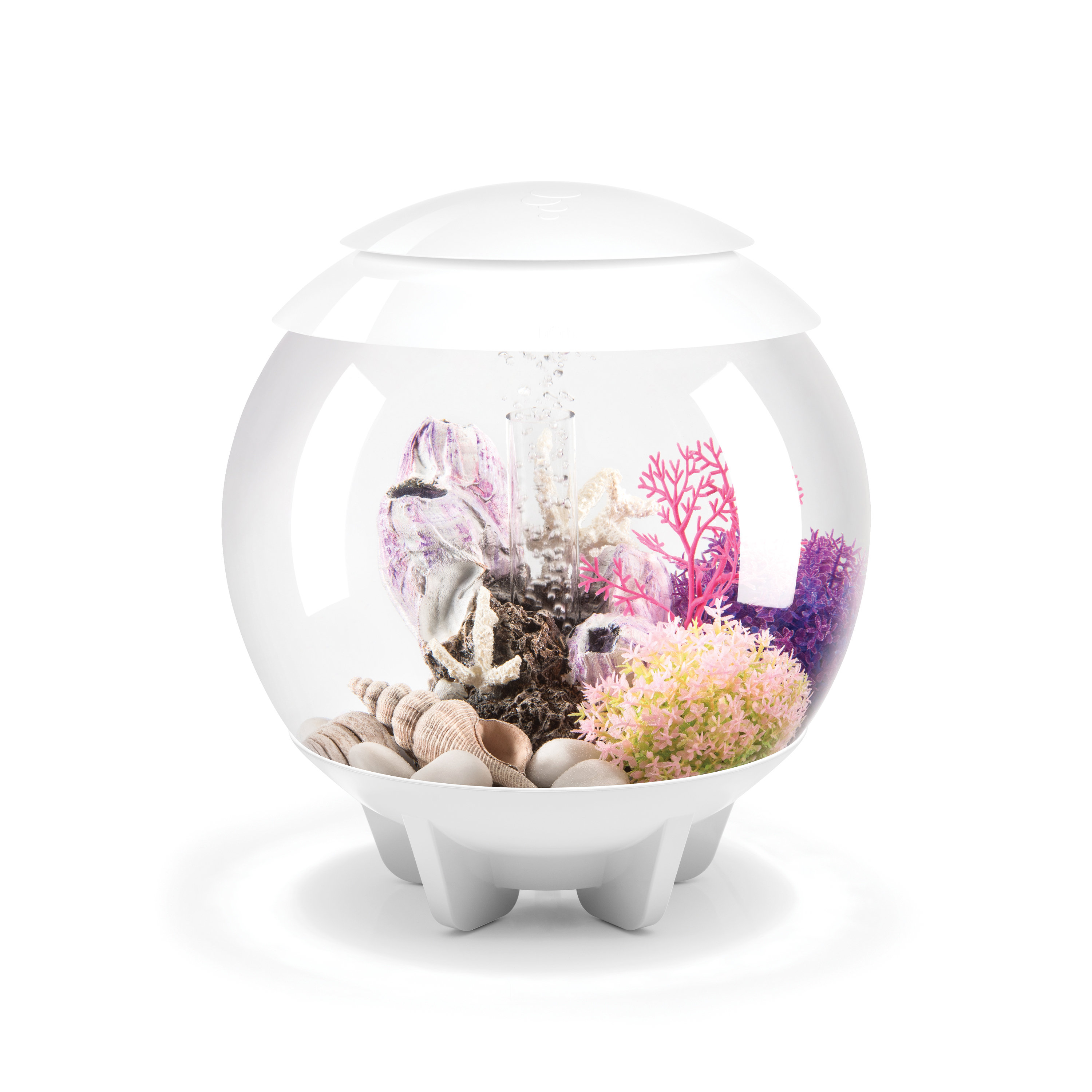 biOrb Halo 15 4 Gallon Round Aquarium Tank with MCR Light | Wayfair