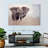 Brampt Young Savanna Elephant-108692511