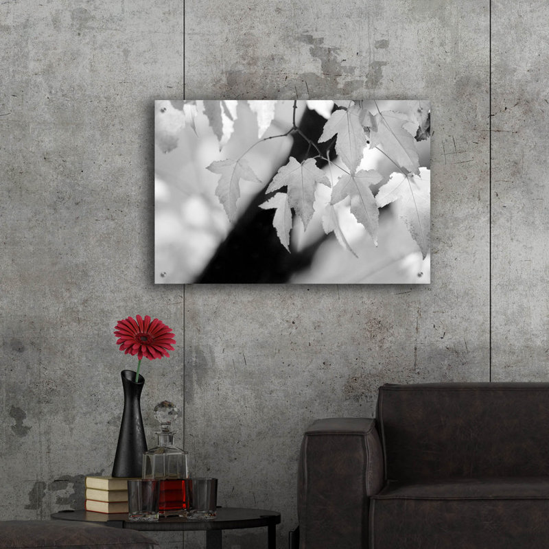 "Leaves And Light" par Nicholas Bell, photographie, H 24 po x l 36 po