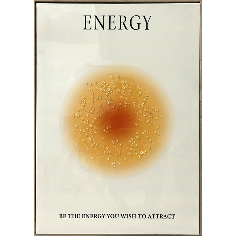 Art mural encadré Radiant Gratitude II, 20 po x 28 po, cadre en chêne