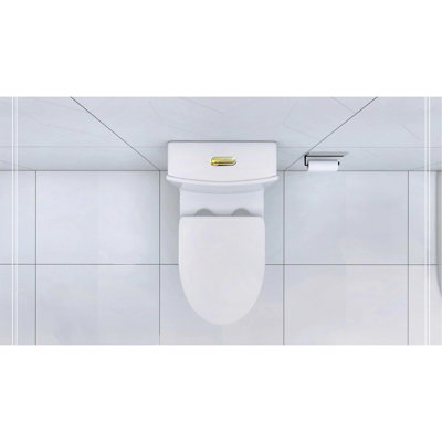 Elongated One Piece Toilet