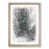 Oak Framed selected