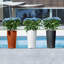 Lechuza Cilindro Color Self-watering Planter with Drainage Hole and Water Level Indicator-26992037-26992039