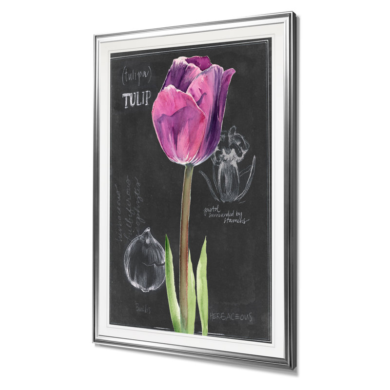 «Chalkboard Flower IV», reproduction, H 24 po x l 20 po x 1,5 po, Cadre argenté