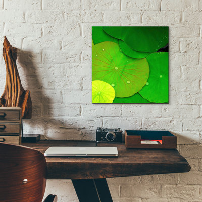 " Water Lily " by PhotoINC Studio