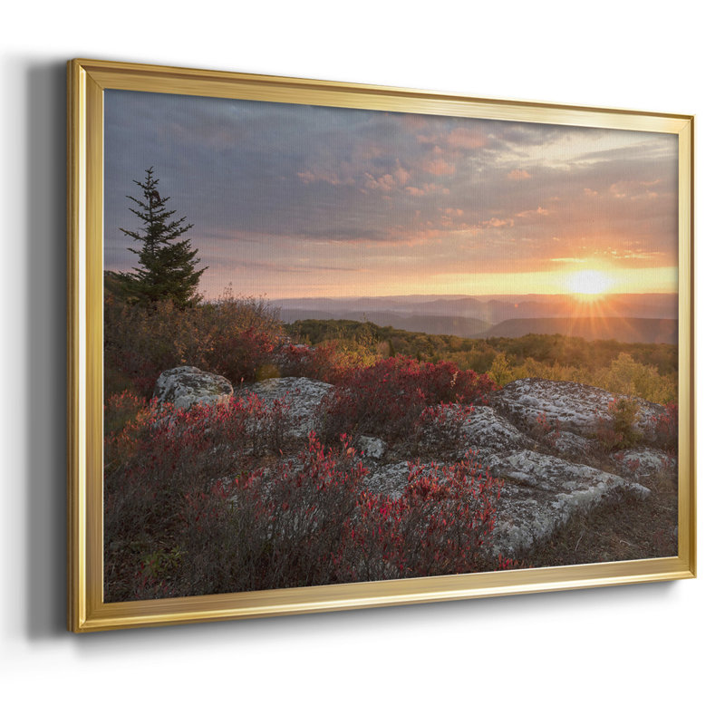 Good Morning, reproduction d'art sur toile, Or, H 18 po x l 26 po x P 1,5 po