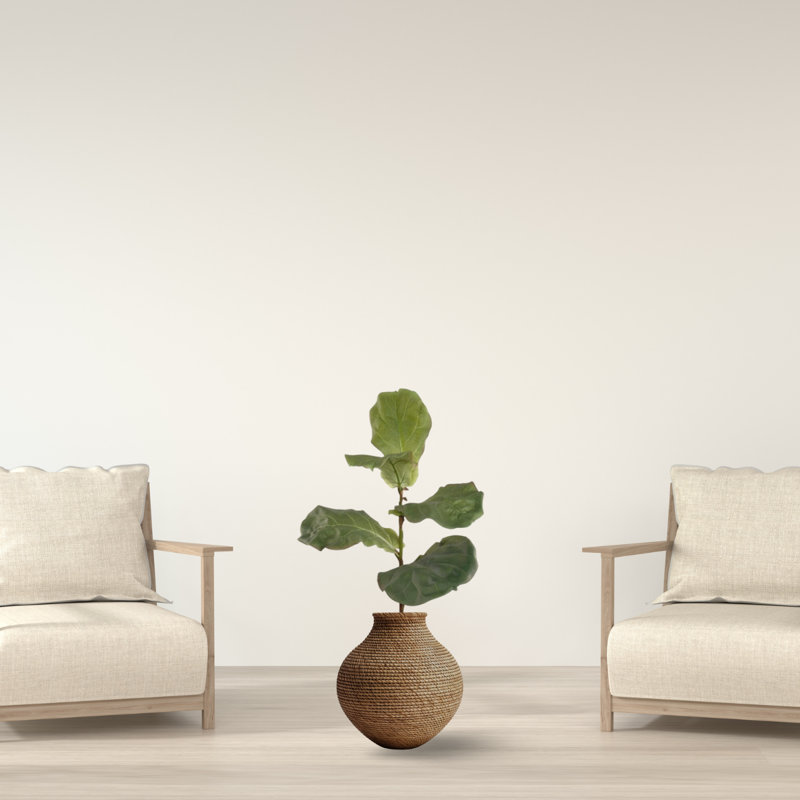 36'' Faux Fiddle Leaf Fig Branch