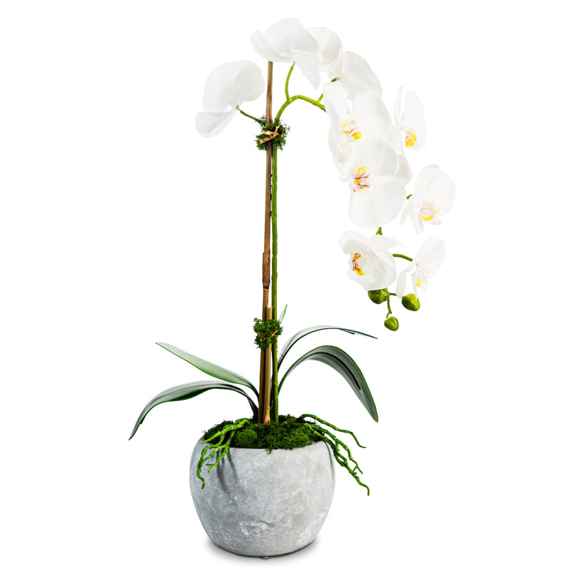Orchidée fonctionnelle en céramique Realtouch