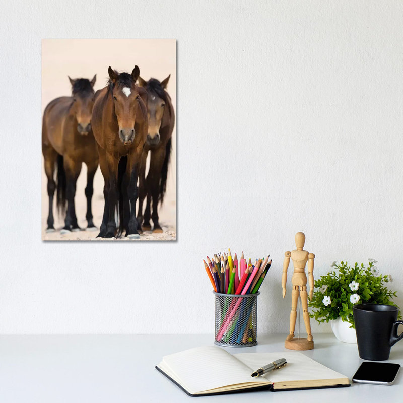 Namib Desert Horse Trio, Namib-Naukluft National Park, Namibia by Cyril Ruoso - Wrapped Canvas Print, 20.32 cm H x 30.48 cm W