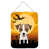 Jack Russell Terrier 1