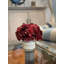 Spring Additions Burgundy Hydrangea in French Label Pot