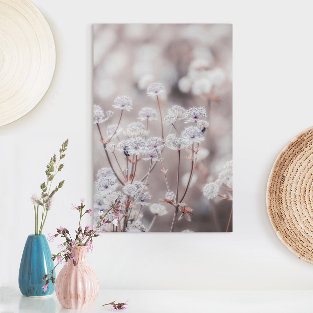 Leinwandbild Federleichte Wildblumen von Monika Strigel