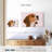 Brampt Beagle-108690320