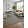Masala Hand Loomed Area Rug in Gray