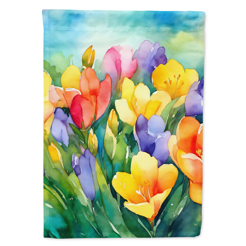 Double Sided 40'' H x 28'' W Polyester House Flag