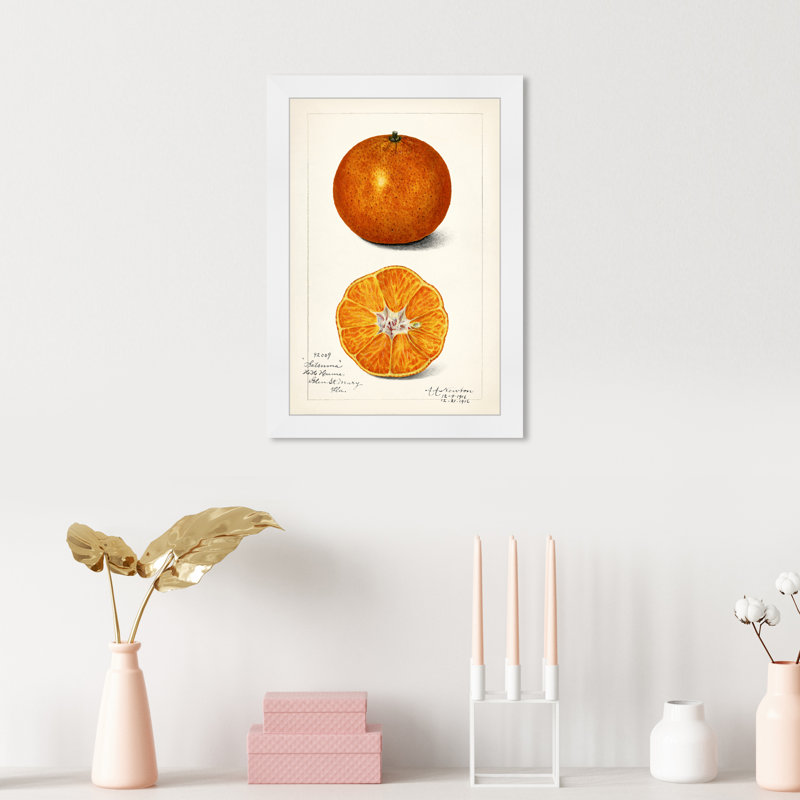 Nature morte par - reproduction de cadre photo, H 17 po x l 12 po, Blanc