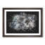 Thistle Flower - Picture Frame Graphic Art Print-56864298-56864299
