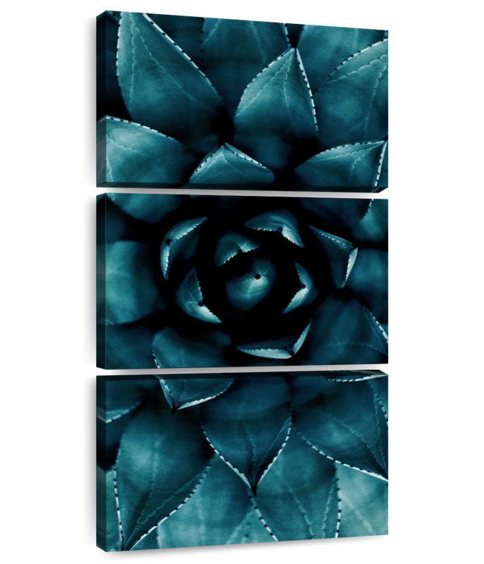 Fleur de cactus I