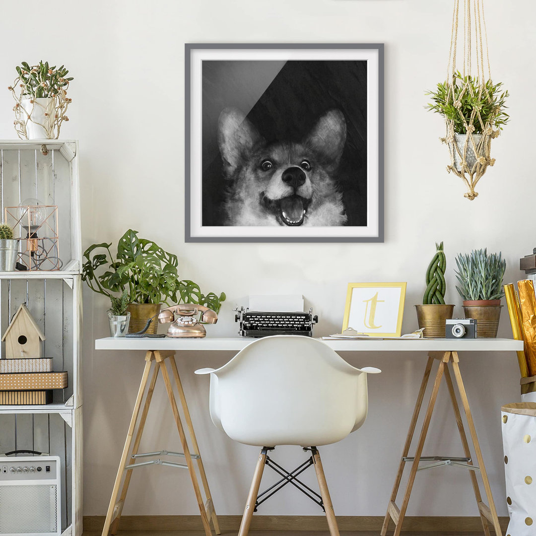 Gerahmtes Poster Illustration Dog Corgi in Schwarz/Weiß