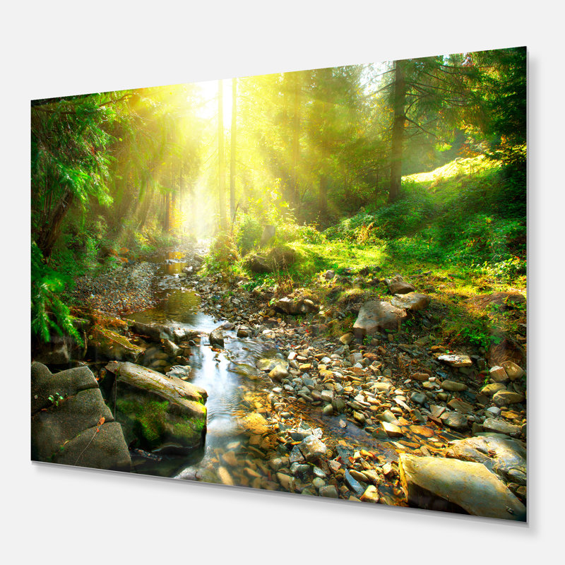 «Mountain Stream in Forest», reproduction de photo sur toile, Toile tendue, H 12 po x l 20 po x p 1 po