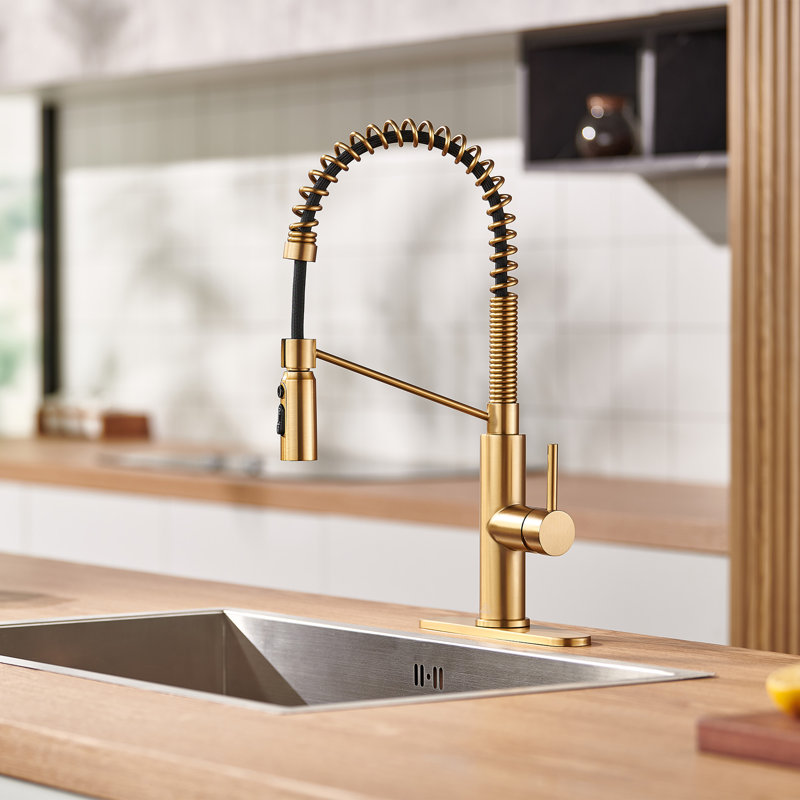 Bolden CASAINC 1.8 GPM Spring Neck Pull Down Kitchen Faucet with Deck Plate, Brushed Gold