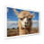 White Picture Framed