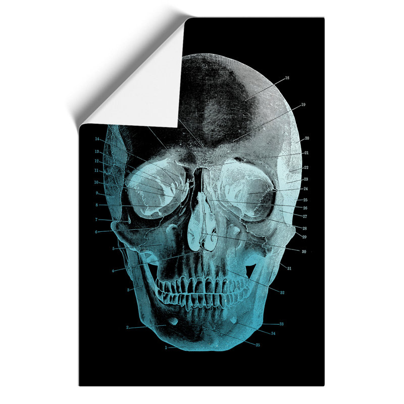 Black Twilight Skull - Frameless Print, 42cm H x 30cm W x 0.1cm D